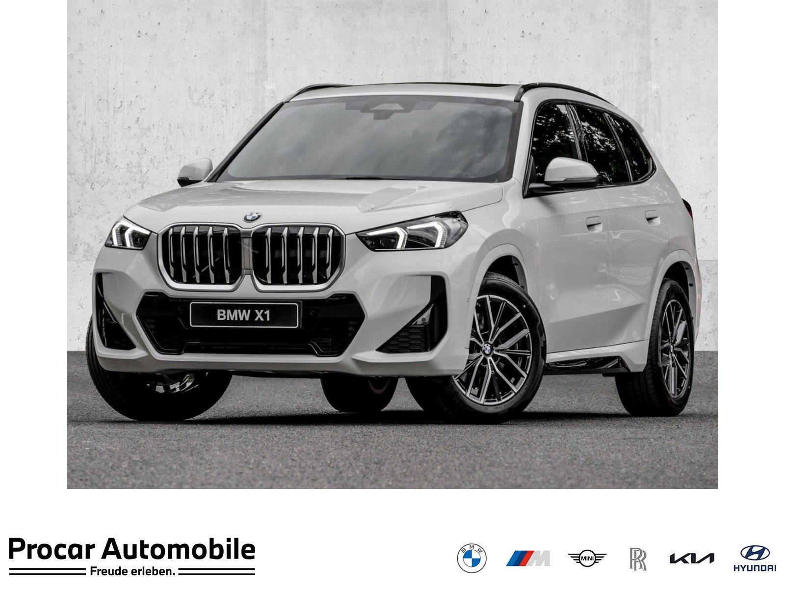 BMW X1 sDrive20i M Sport PANO ACC AHK RFK NAVI LED