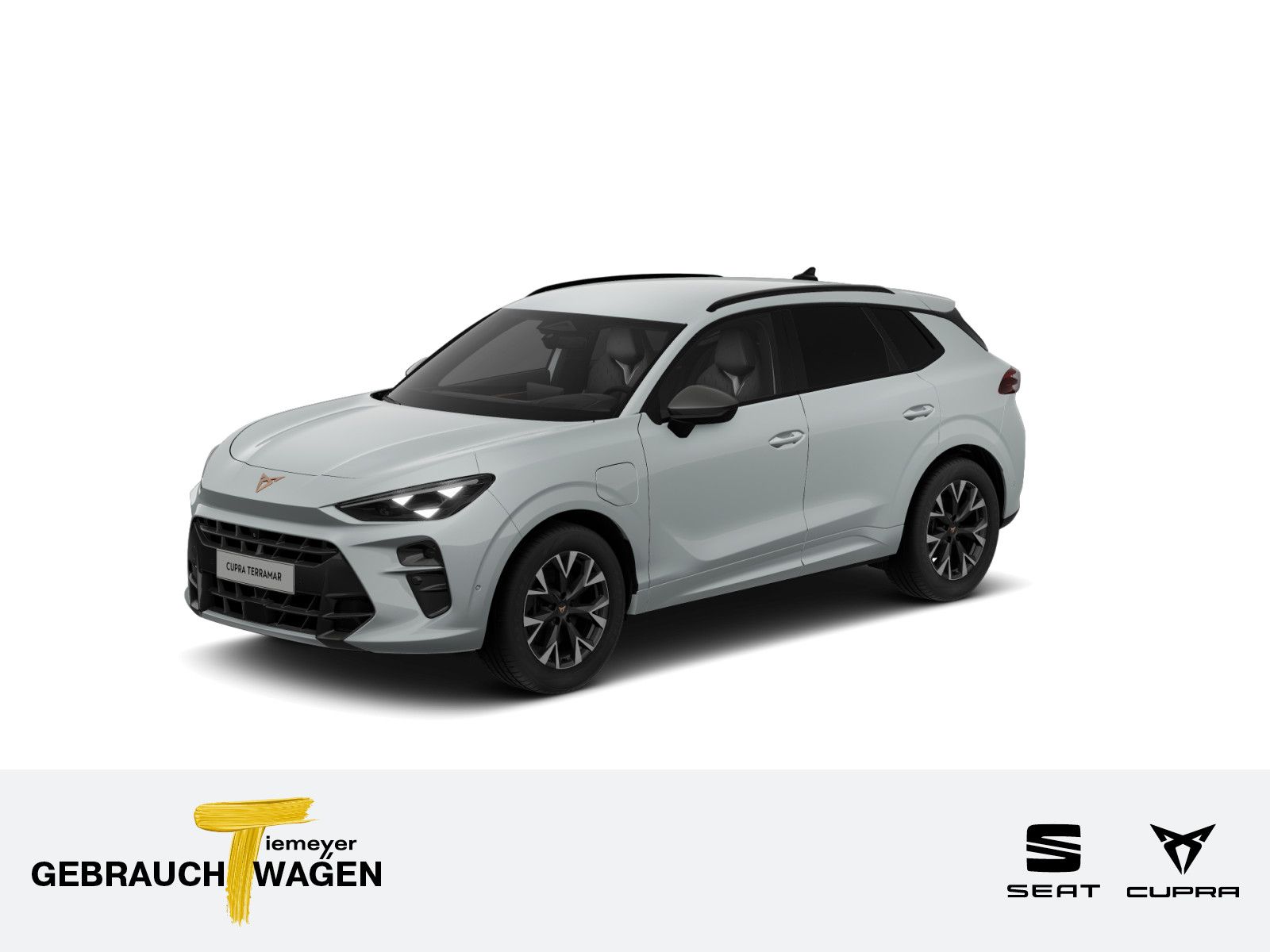Cupra Terramar 1.5 TSI e-Hybrid MATRIX eSITZE 360° HEA