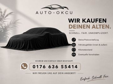 Volkswagen Beetle - 11