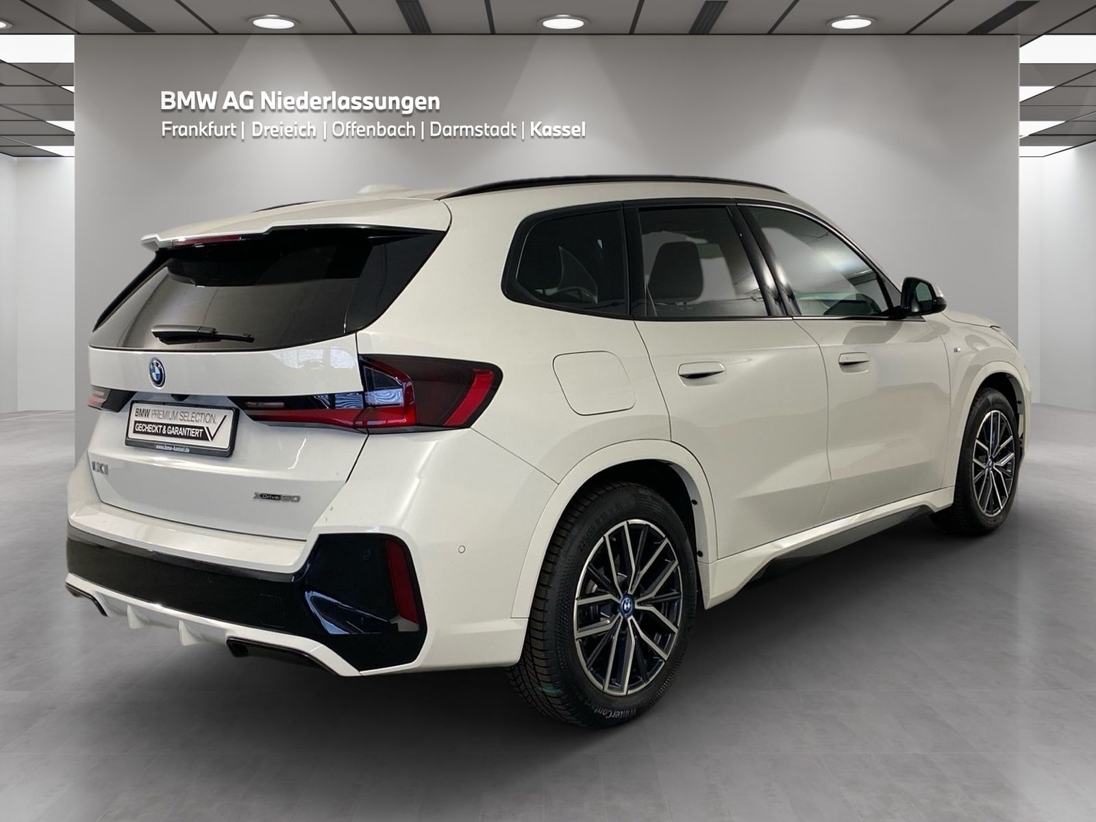 BMW iX1 xDrive30 M Sport Kamera Driv.Assist LED foto 3