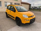 Fiat PANDA 1,3 MultiJet 95 WILD 4x4 vin 427 - Fiat Panda mit Diesel-Antrieb: Allradantrieb, 1.3