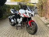 Yamaha FZ1 FAZER RN16 LIMITED EDITION ( NEU ) 214 KM  - YAMAHA FZ1N
