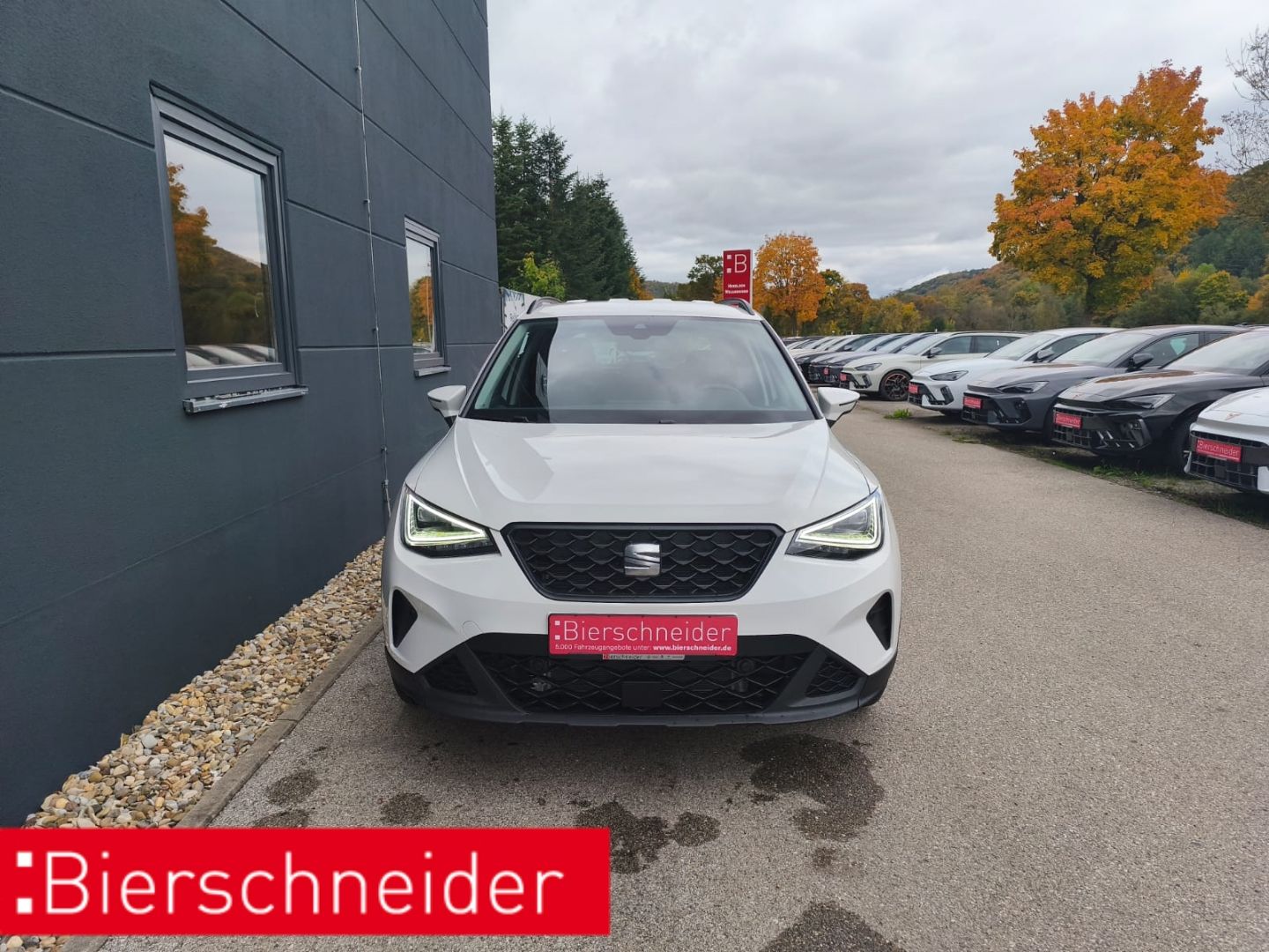 Seat Arona 1.0 TSI DSG ROAD ab 125,- 2.380,- Anzahlun