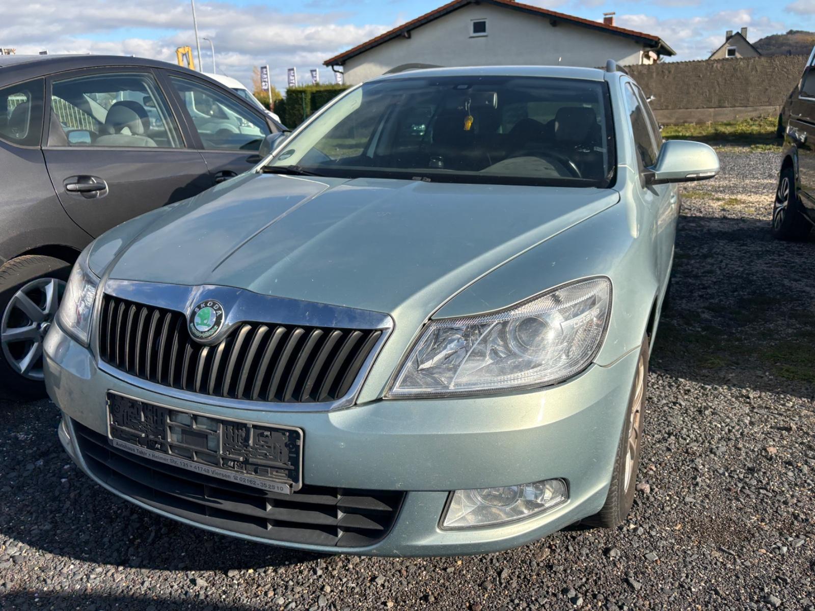 Skoda Octavia 2010 — rear view