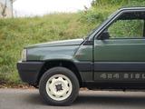 Fiat Panda 4x4 Sondermodell "Sisley" in Bestzustand! - Fiat Panda: 3 Türen