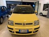 Fiat Panda 1.2 Emotion - Fiat Panda: Emotion