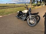 Harley-Davidson Sportster XL 1200L - HARLEY-DAVIDSON 2006 SPORTSTER 1200