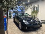 Mercedes-Benz SLK 55 AMG AMG - Mercedes-Benz SLK 55 AMG Gebrauchtwagen