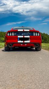Ford Mustang GT 5.0 V8 Black Shadow  EU Modell - Ford B model Gebrauchtwagen