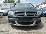 Volkswagen Golf PlusV Cross*TÜV/NEU*Steuerkette+Bremsen neu - Volkswagen Golf: Cros