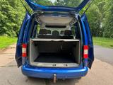 Volkswagen Caddy Life Gewinner *KLIMAAUTOMATIK*ALU*PDC*TÜV - Volkswagen Caddy: Gewinner