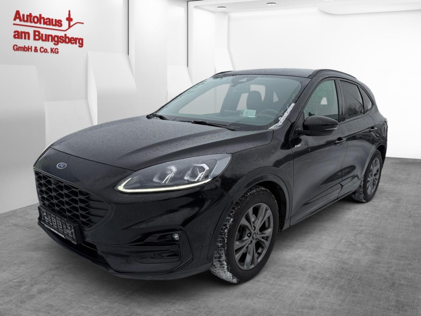 Ford Kuga 2.0 EcoBlue ST-Line X Navi AHK Ganzjahresre