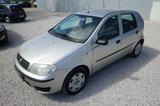 Fiat Punto 1.2 8V Ciao |HU/AU NEU| |Klimaanlage| - Fiat: Ciao