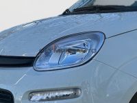 Fiat Panda MY25 Hybrid 1.0 GSE KLIMA TOUCH DAB PDC BT - Image