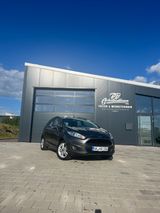 Ford Fiesta JA8 | SHZ | Bluetooth - Ford Fiesta: Ja8