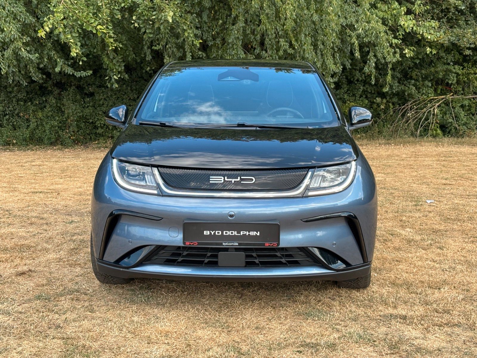 BYD DOLPHIN Design imagem 2