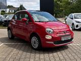 Fiat 500 1.0 Mild Hybrid Dolcevita - Fiat 500 Gebrauchtwagen in Bochum