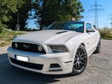 Ford Mustang GT Premium Geiger Performance... - Ford Mustang: Performance