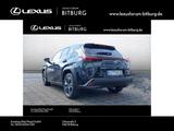 Lexus UX 250h Style Edition /ACC/FLA/ParkAss./SHZ/LM - Used cars
