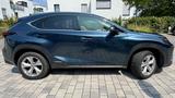 Lexus NX 300h 360° Cam, Head-up-Display, Sitzlüftung - Lexus: Nx