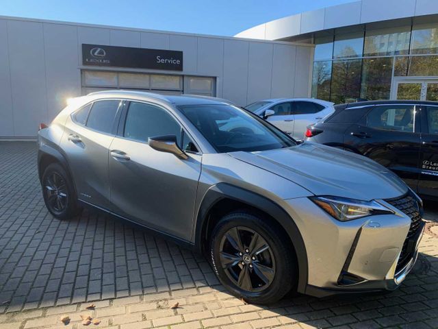 Lexus UX 250h Amazing Edition, Safety System