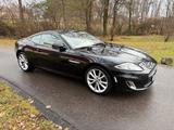 Jaguar XK 5.0 V8 - Jaguar XK: Sportwagen