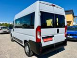 Fiat Ducato 2.3 MJ L2H2 KLIMA 9-SITZER GZJR RADIO - Fiat Ducato: L3h3