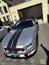 Ford Mustang 2.3 EcoBoost Auto,Cabrio Schelby Optik - Ford Mustang: 2.2