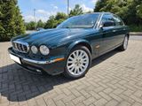 Jaguar XJ8 4.2 Liter, SHD, Leder, Klima, Oxfordgrün - Jaguar XJ8: L