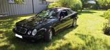 Mercedes-Benz CLK 430 ELEGANCE / V8 / HU 05/27 / GEPFLEGT - Mercedes-Benz CLK 430