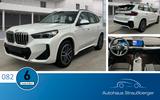 BMW X1 18si M Sport TEMP HiFi KZU QI RFK adaptiv LED