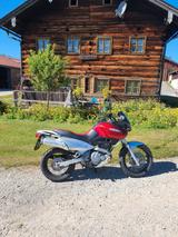 Suzuki XF 650 Freewind - SUZUKI FREEWIND 650
