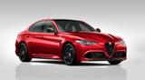 Alfa Romeo Giulia QUADRIFOGLIO Sparco, Akrapovic Carbondach - Alfa Romeo Giulia Akrapovic Gebrauchtwagen
