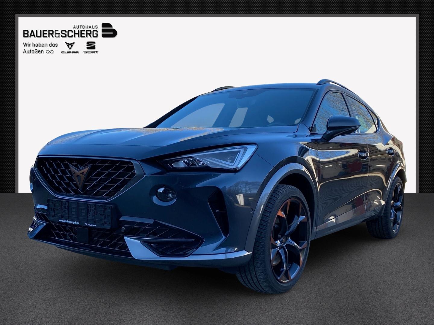 Cupra Formentor VZ 2.0TSI LEDER MEMORY FULLINK EL.HECK