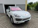 Porsche Cayenne Diesel Platinum Edition - Porsche Cayenne in Ludwigshafen