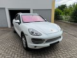 Porsche Cayenne Diesel Platinum Edition - Porsche Cayenne in Mannheim