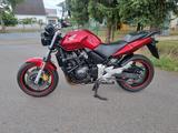 Honda CBF 600 NA - HONDA 2006 CBF 600