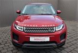 Land Rover Range Rover Evoque 2.0 Panorama - Land Rover Gebrauchtwagen in Chemnitz