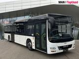 MAN LION'S CITY / A20
