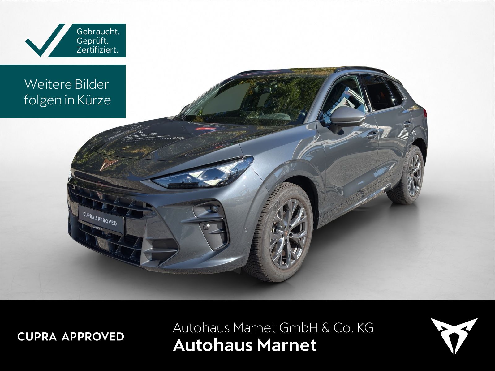 Cupra Terramar 1.5 TSI DSG Navi*AHK*Matrix*Kamera*Keyl