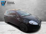 Fiat Punto 1.2 8V Active - Fiat Punto: Active