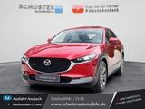 Mazda CX-30 Exclusive-Line Allrad Leder Schiebedach/Ma - Mazda CX-30 Exclusive-Line mit Hybrid-Antrieb (Benzin/Elektro)
