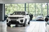 Land Rover Range Rover Evoque HSE Dynamic MERIDIAN KAMERA - Land Rover Range Rover Evoque in Kassel