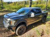 Ford F 150 Super Crew Pickup 4x4 Raptor Optik - Ford F 150 Gebrauchtwagen