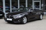 BMW 430d Cabriolet Comfort/NaviCon/HUD/Kamera/Dakota - : Braun, Cabrio