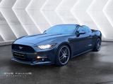 Ford Mustang Convertible 2.3 EcoBoost - Ford Mustang