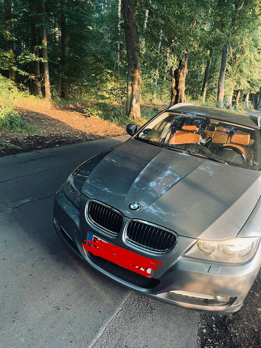 BMW 320 2012 — вигляд ззаду