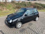 Volkswagen Lupo 1.0 Oxford Oxford - Volkswagen Lupo: Oxford
