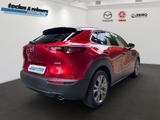 Mazda CX-30 e-SKYACTIV-G 122 AT Exclusive-L. Matrix/36 - Mazda CX-30 mit Hybrid-Antrieb