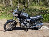 Triumph Thunderbird T309    - Offers matching your search criteria